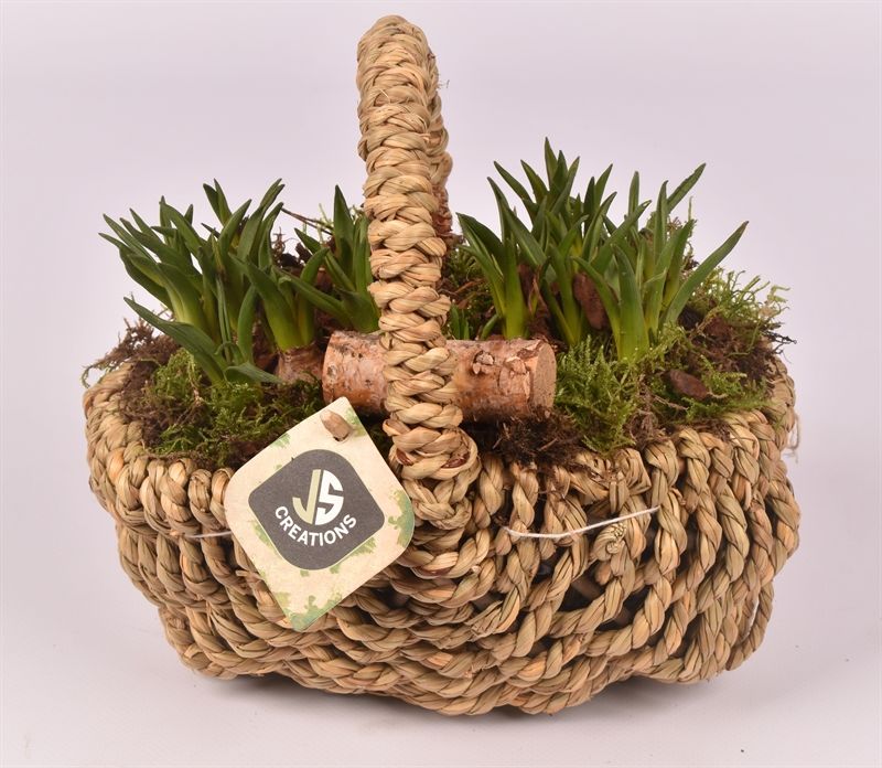 Wilg touwmand ovaal 20x15cm, D 20