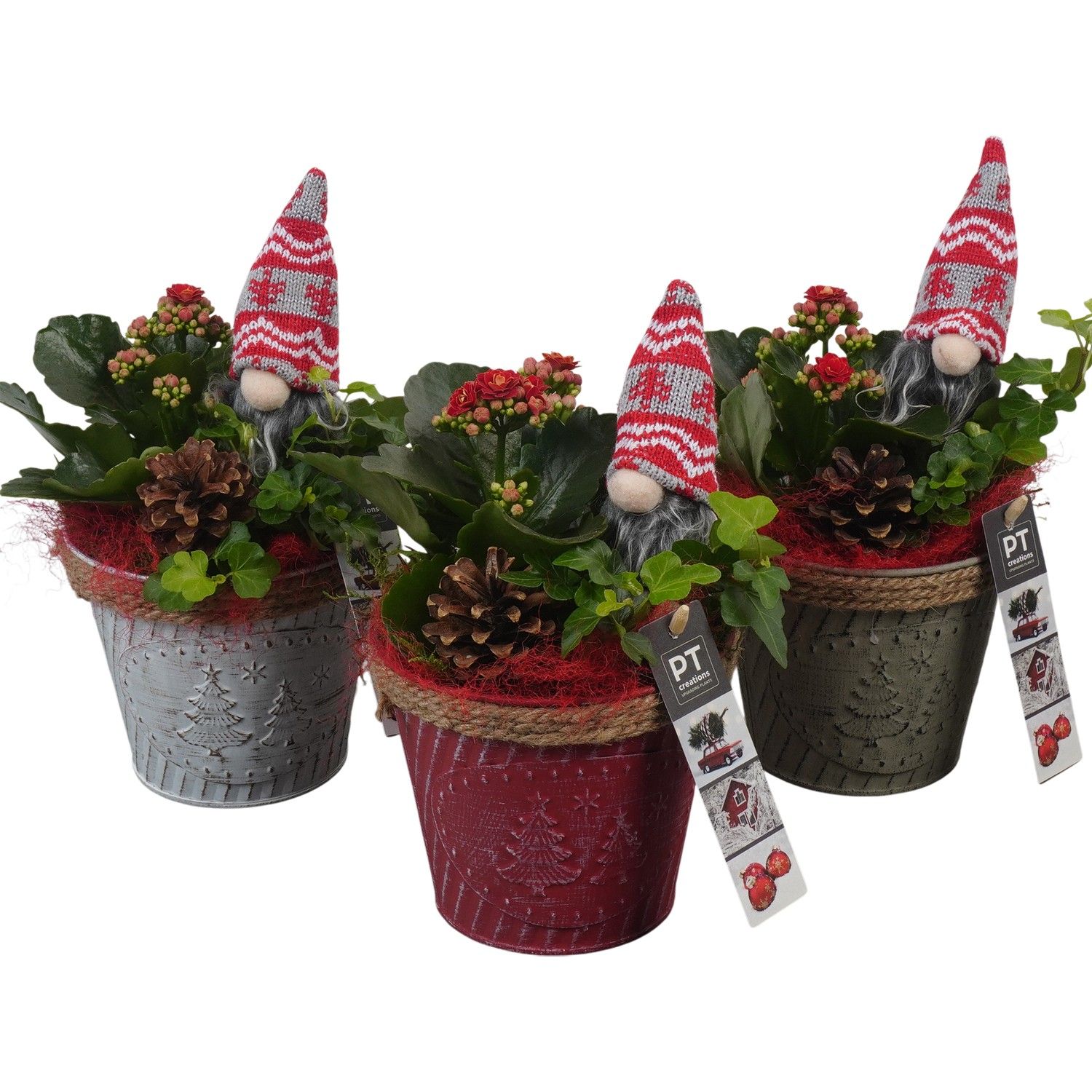 PTCHR7316 Arrangement Christmas Red in metaal pot, D 13 cm