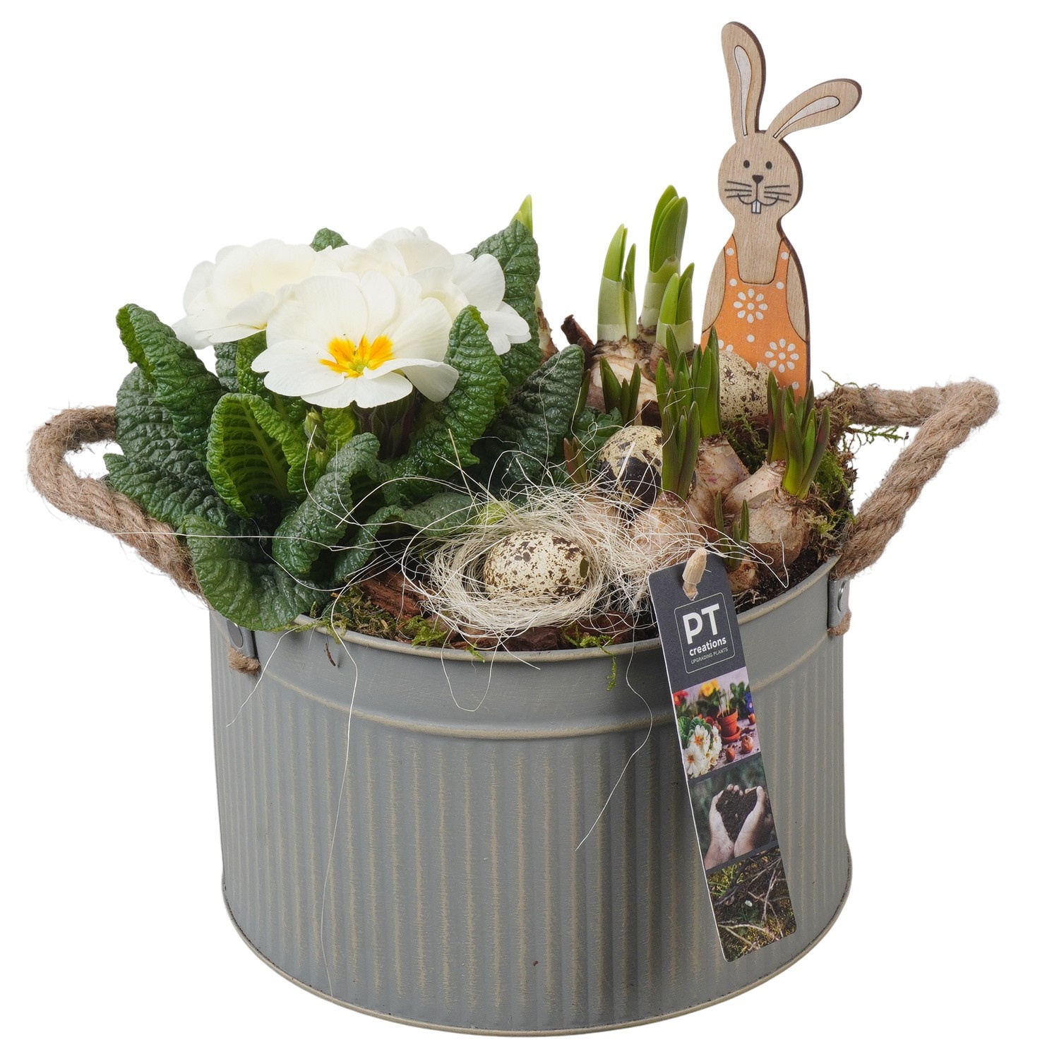 PTBMP5672 Arrangement Easter Bulbs Mix in zink pot, D 21