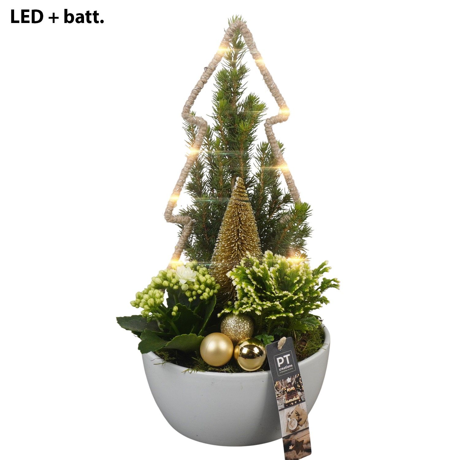 PTCHG5627 Arrangement Christmas Gold in keramiek schaal, D 18 cm