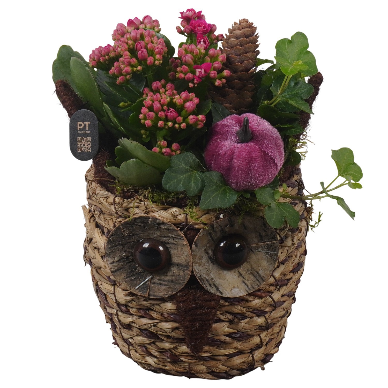 PTHI3311 Arrangement Autumn Indoor in rieten mand in uil vorm, D 14