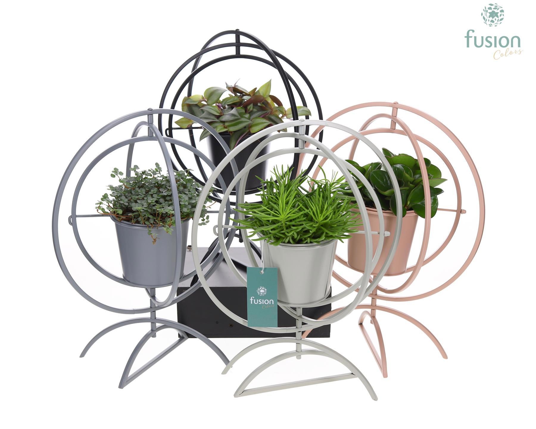 Globe metaal 4 kleuren Large met groene planten, D 30