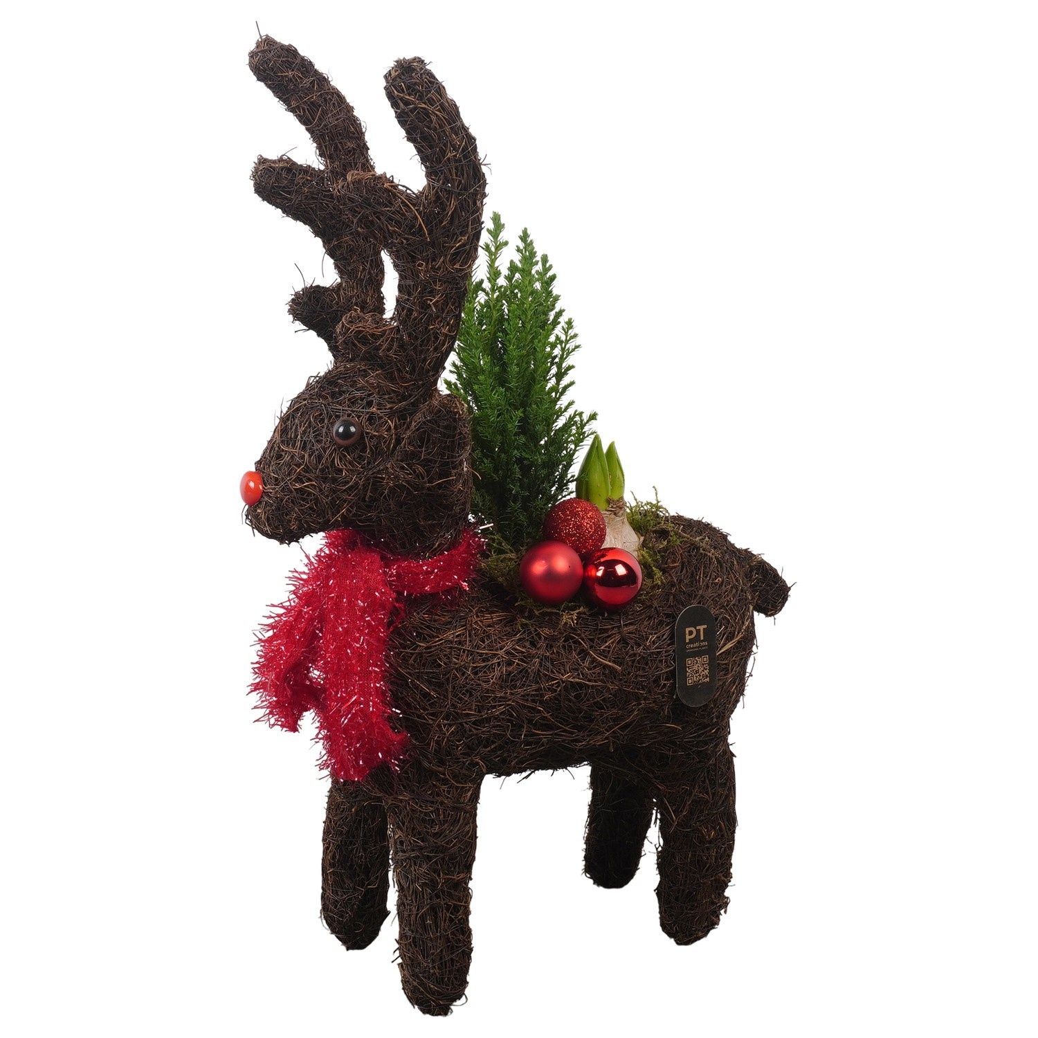 PTCHO5435 Arrangement Christmas Outdoor in rieten rendier pot, D 29