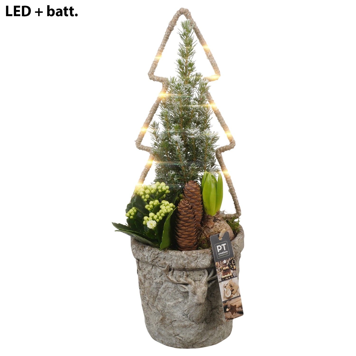 PTCHW4312 Arrangement Christmas White in beton pot, D 17 cm
