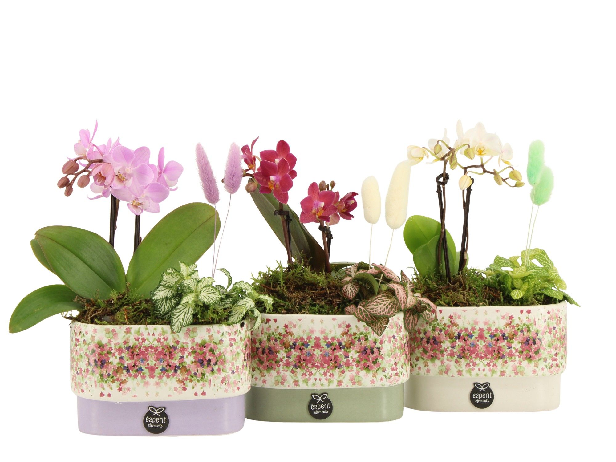 11625: Consideration arrangement, D 14