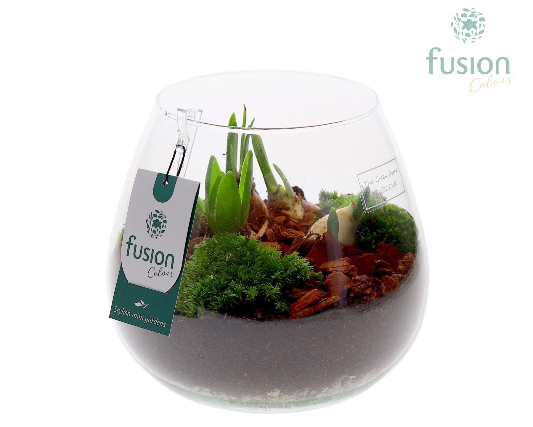 Green Bottle Abby Medium met Bollen mix, D 19