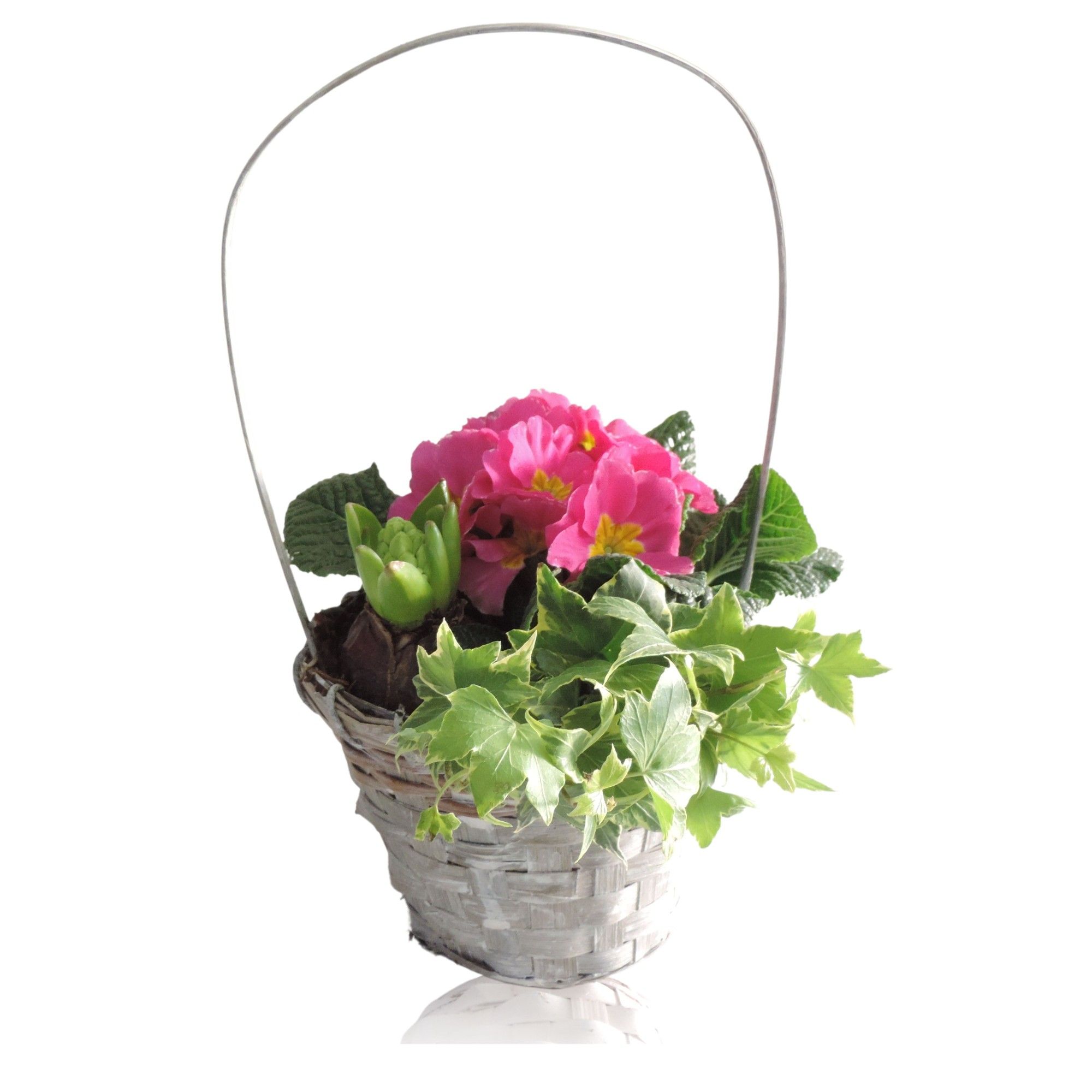 Jakarta Early Spring Specials Arrangement Hyacint in mand 13 cm met hengsel, D 13 cm