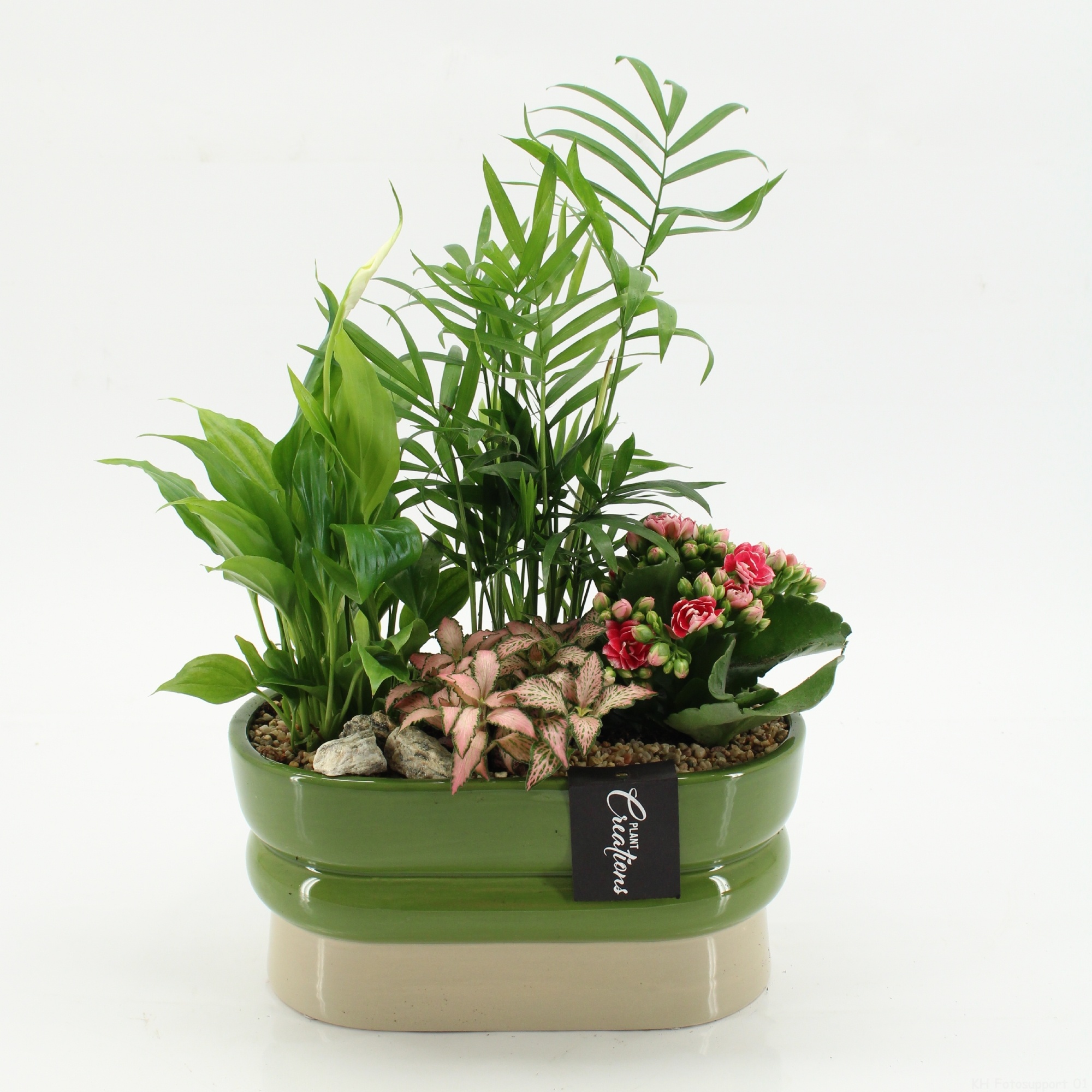 ESCR-2620RZ Essentials, D 23