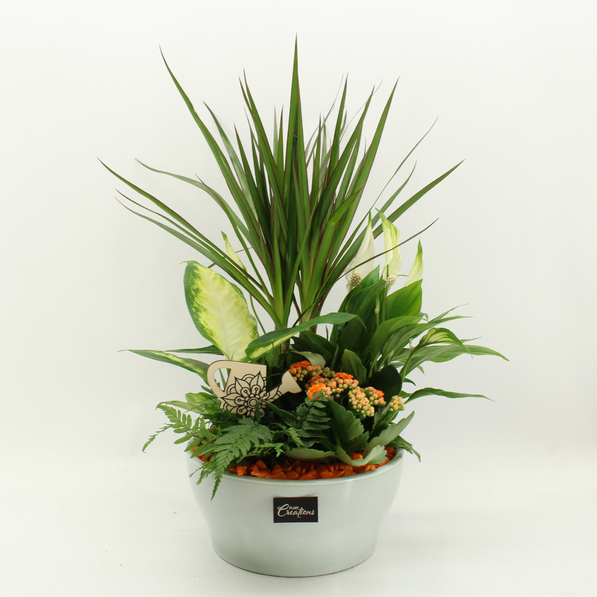 FDCR-2612OR Basic Fundamentals, D 22