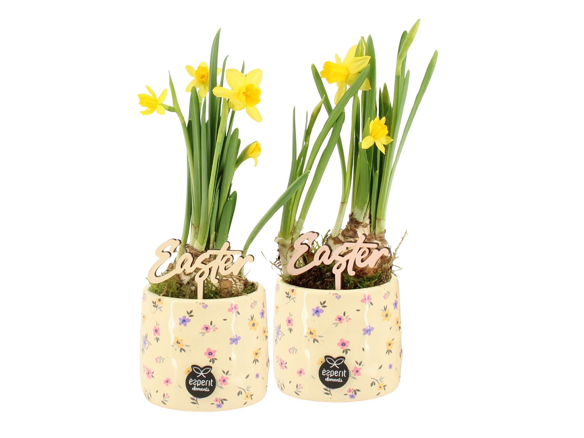 70878: Easter arrangement, D 8,5