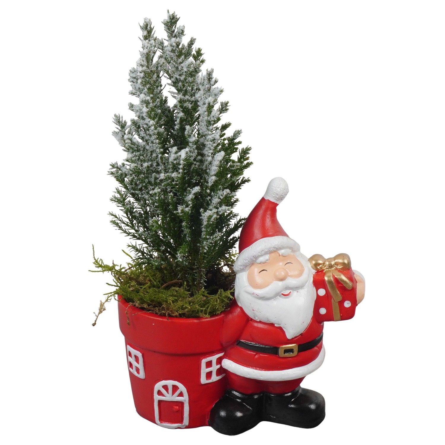 PTCHR7265 Arrangement Christmas Red in keramiek pot, D 13 cm