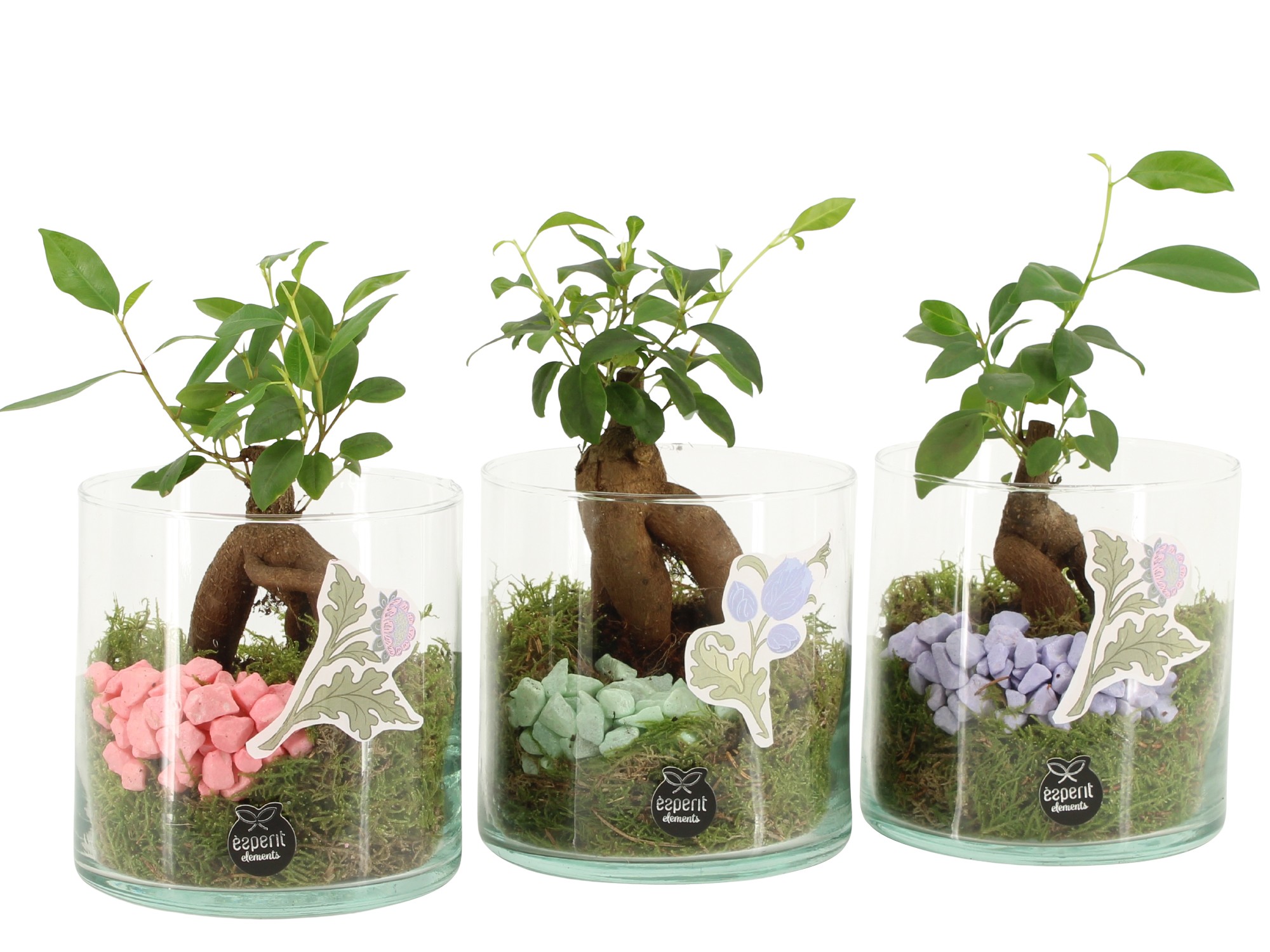 21938: Contradiction arrangement, D 12