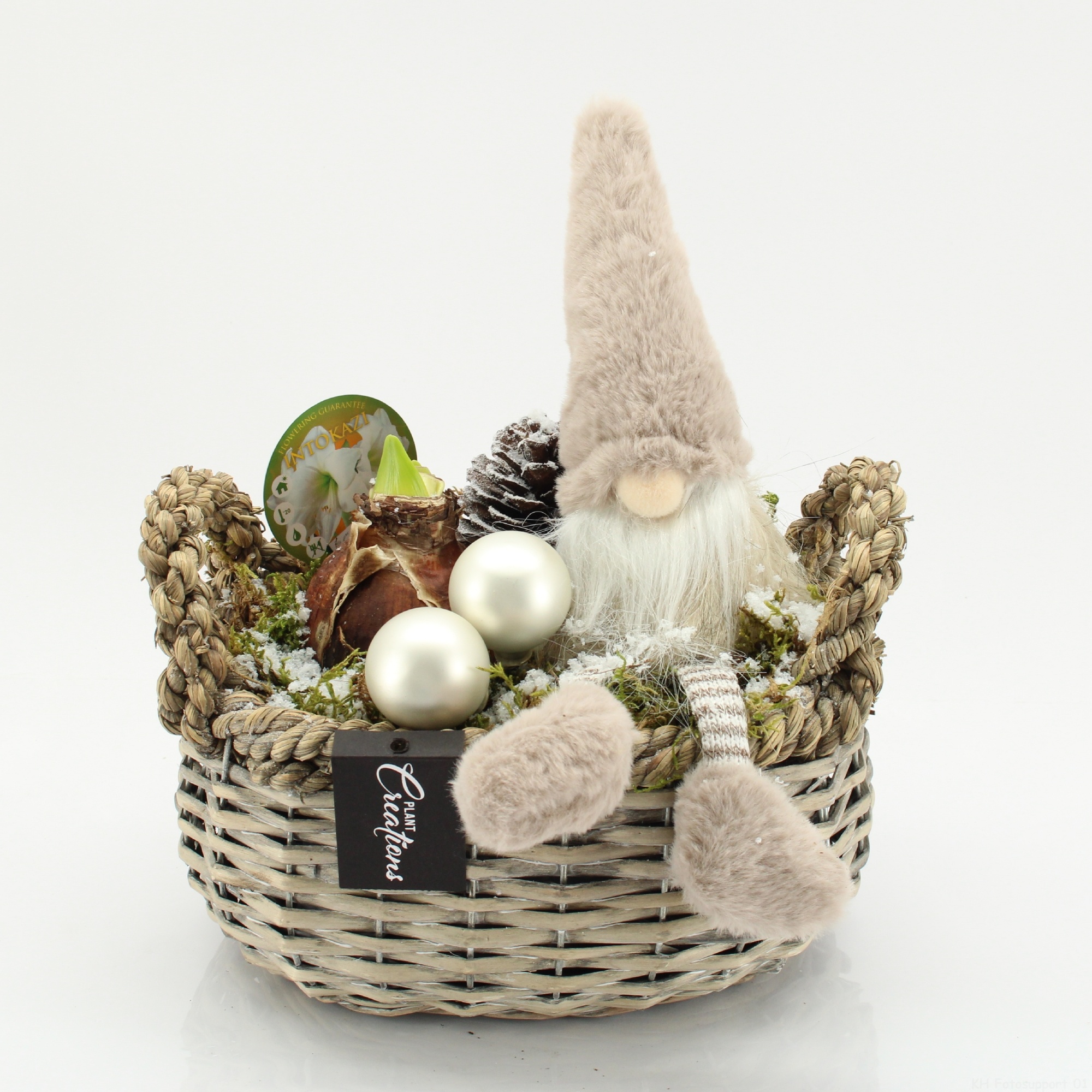 HICR-2531W Kerst Amaryllis, D 23 cm