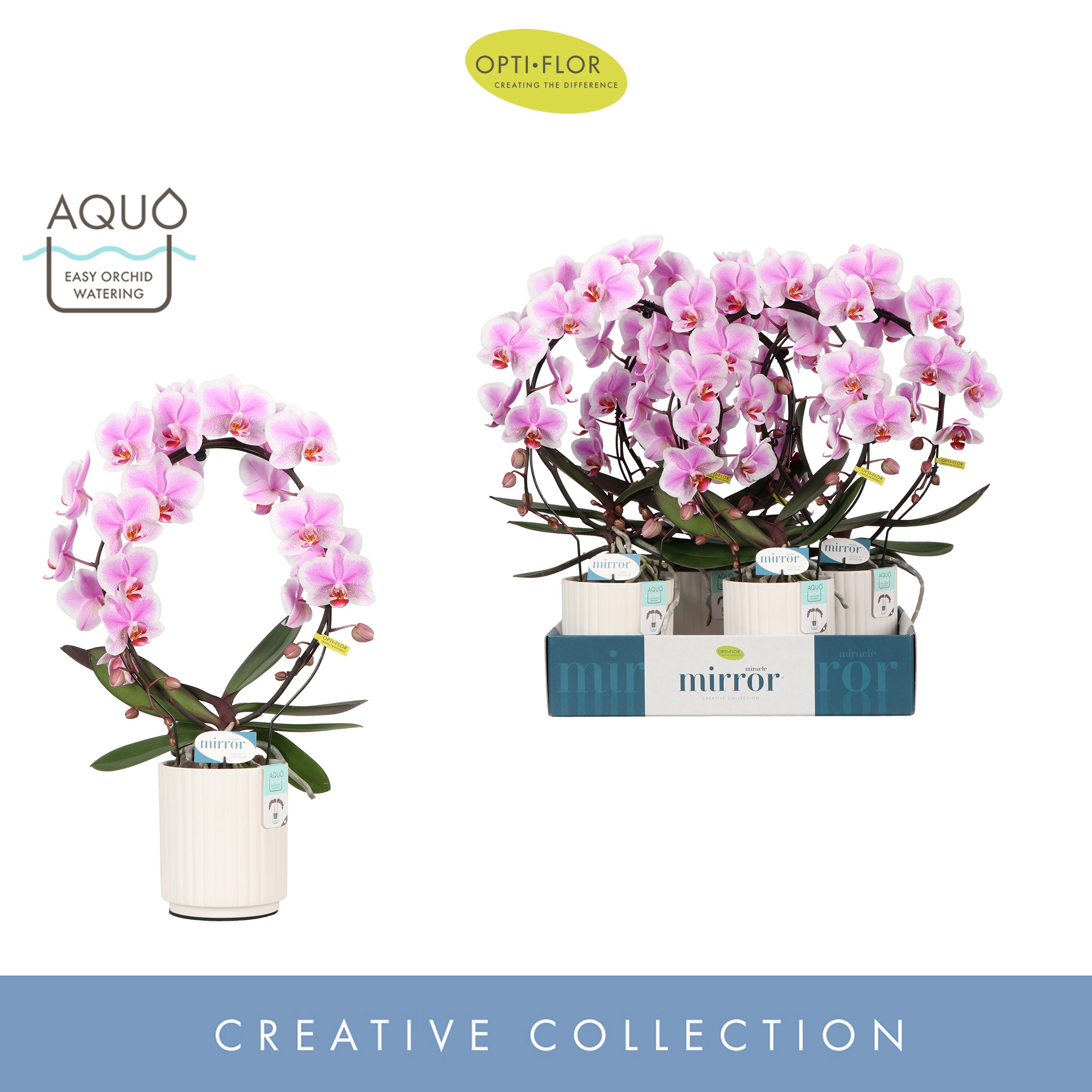 Mirror Miracle Jasmine 2 spike in Molise White Aquo, D 12 cm