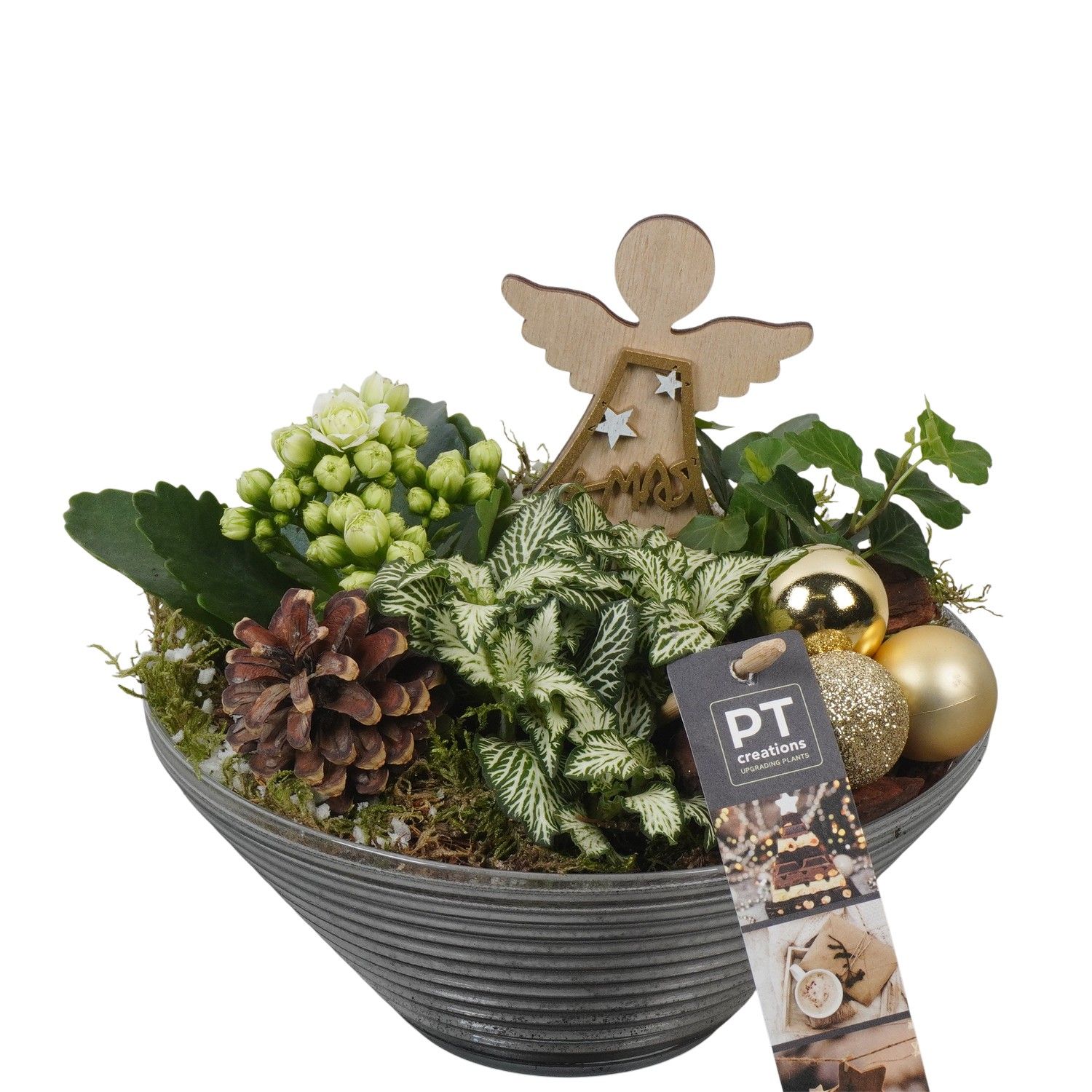 PTCHG5713 Arrangement Christmas Gold in glas schaal, D 19 cm