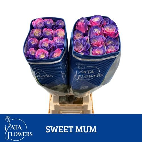 Роза од. Овериг Крашеная (краш. ) 70, шт.