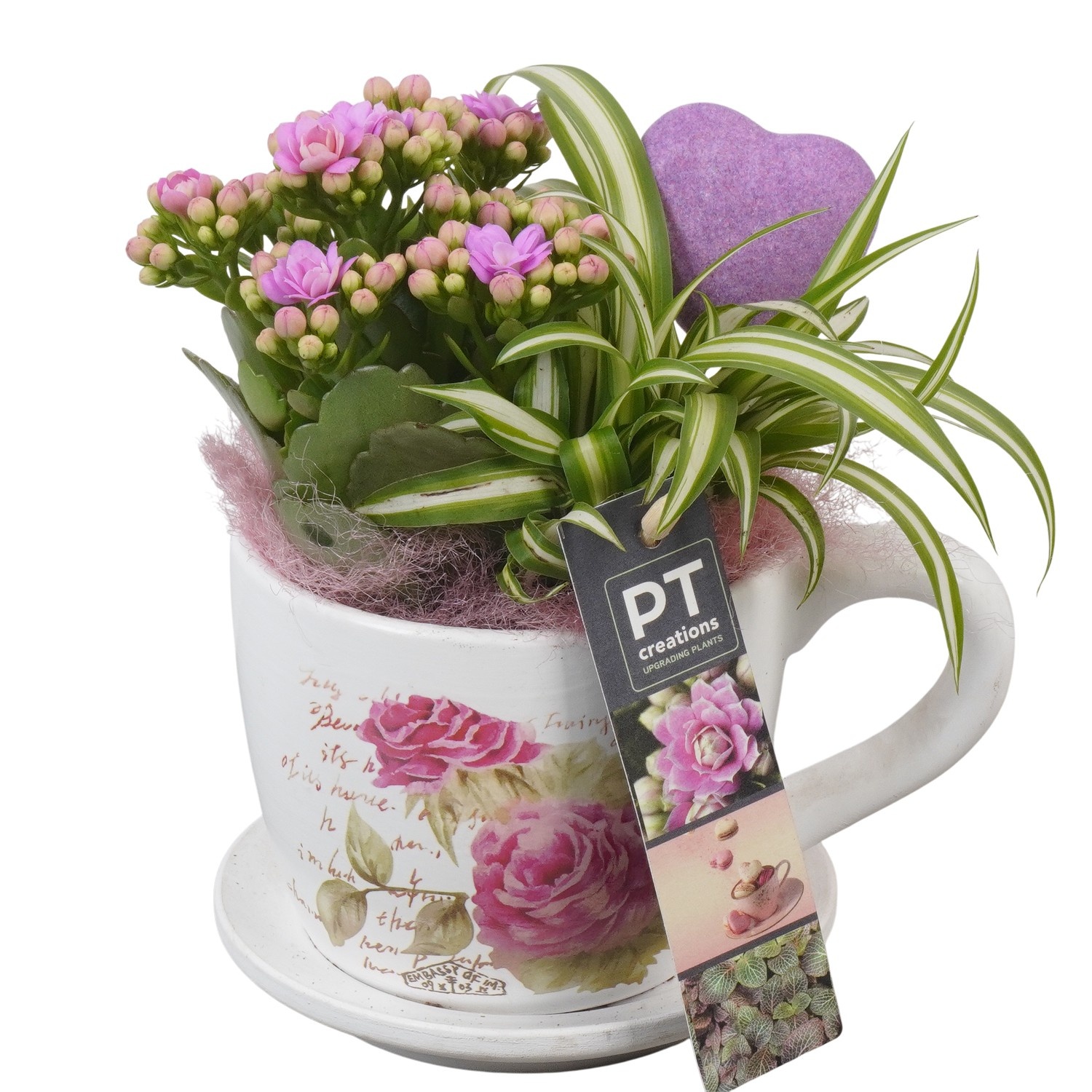 PTVMB2264 Arrangement Valentines-Mothersday in keramiek kop en schotel, D 11