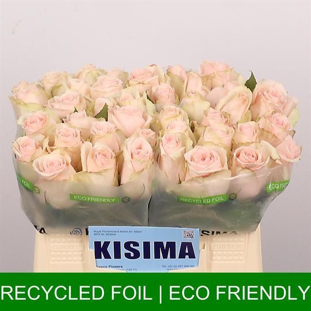 Роза од. Хай Энд Брайдал 35, шт.