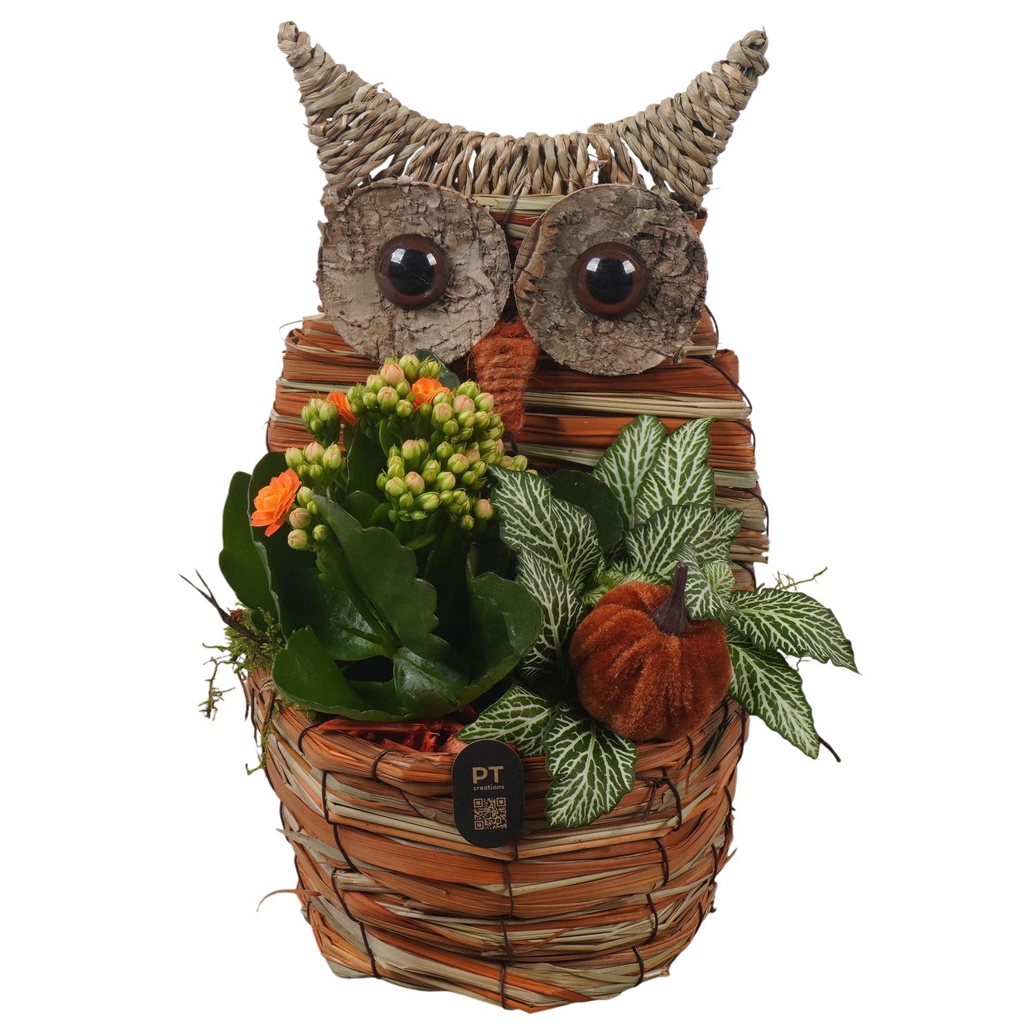 PTHI3321 Arrangement Autumn Indoor in rieten mand in uil vorm, D 14