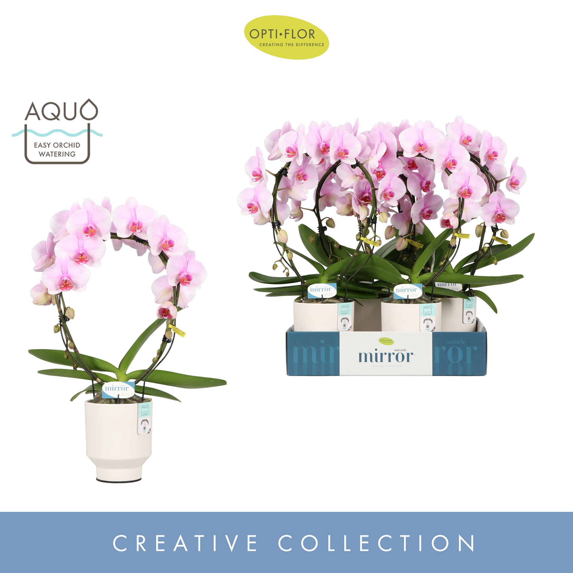 Mirror Miracle Tiana 2 spike in Emilia White Aquo, D 12 cm