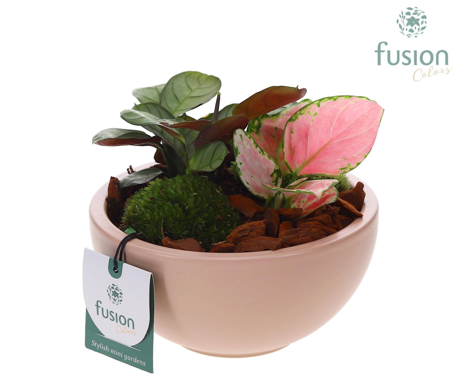Schaal keramiek Moon Small blush pink met groene planten, D 15