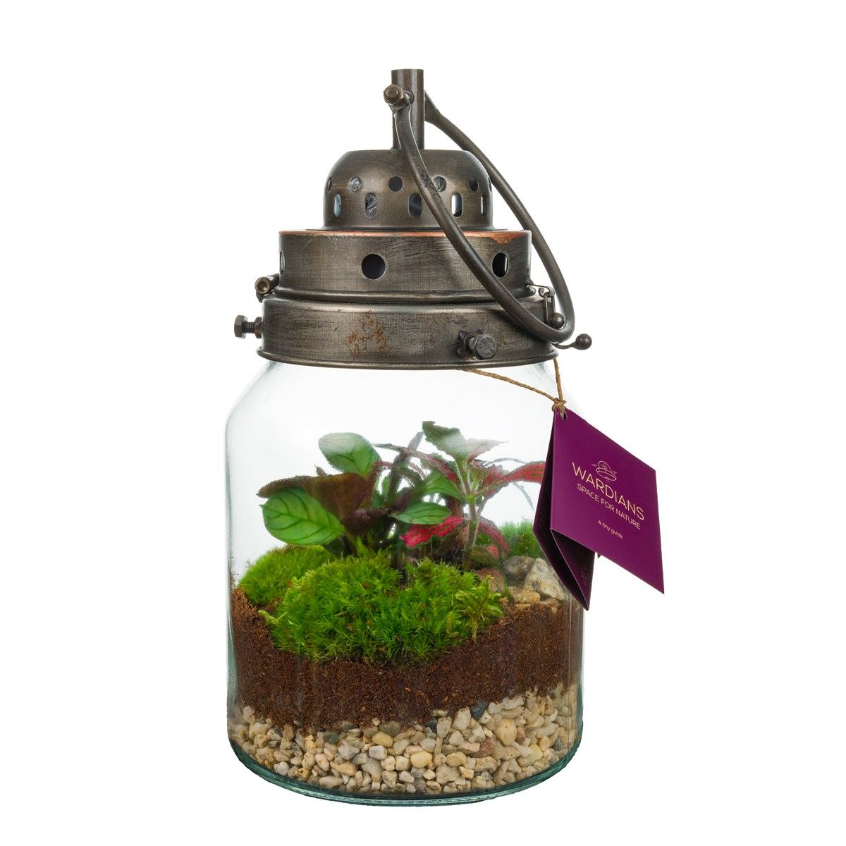 Wardians Terrarium - Stormlamp + LED (rechargeable USB-C), D 16