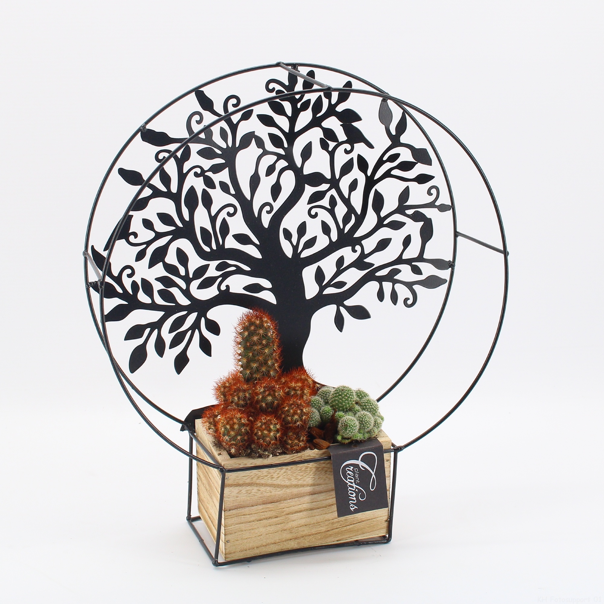 CTCR-2617 Cactus Essentials, D 29