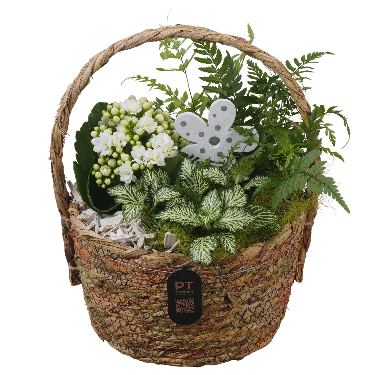 PTIB5225 Arrangement Indoor in rieten hengselmand, D 18