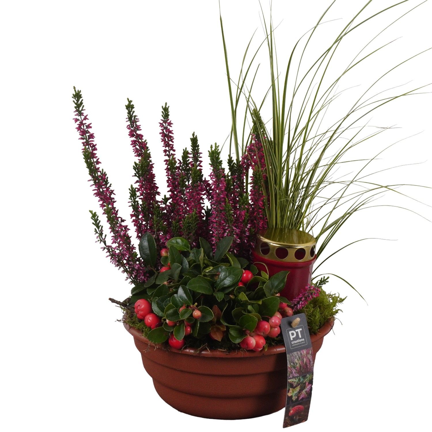 PTAH8687 Arrangement Allerheiligen in plastic schaal, D 21 cm PTAH8687 Arrangement Allerheiligen in plastic schaal, D 21 cm