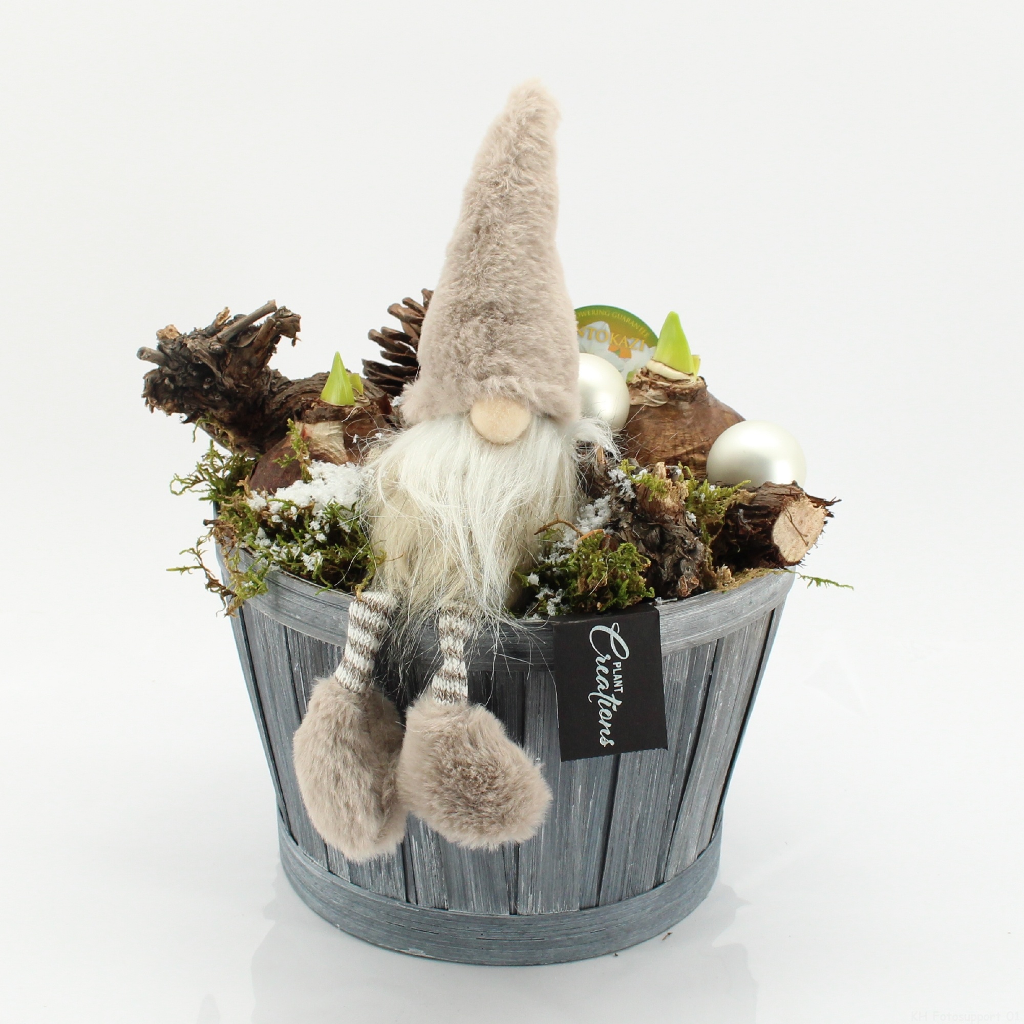 HICR-2533W Kerst Amaryllis, D 23 cm