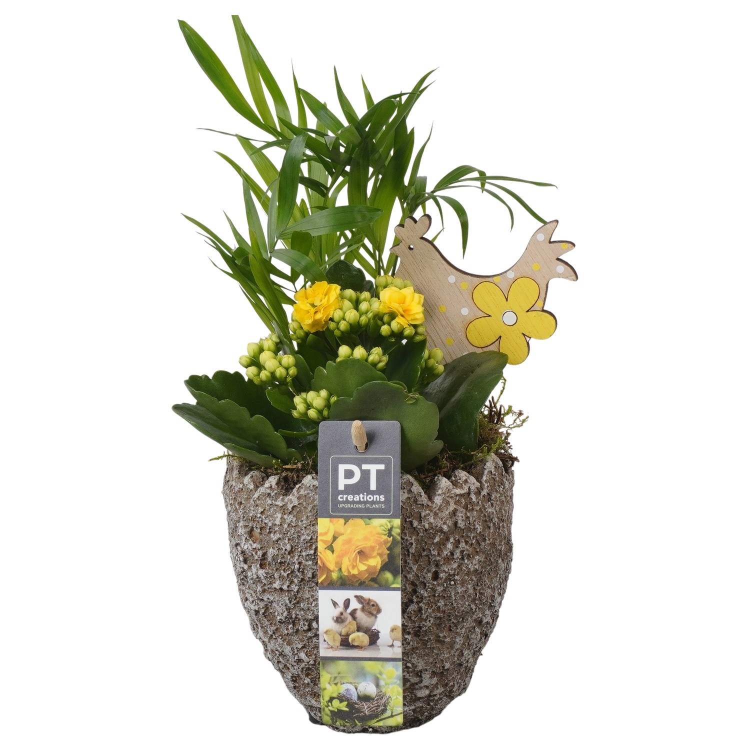 PTPB6602 Arrangement Easter in beton ei, D 11