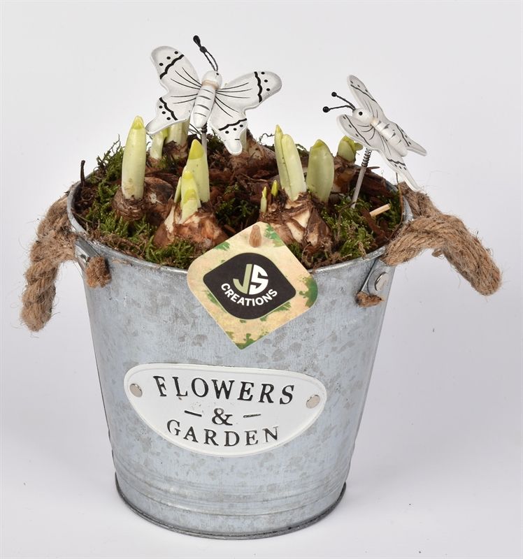 Zink emmer Flower & Garden 16 cm, D 16