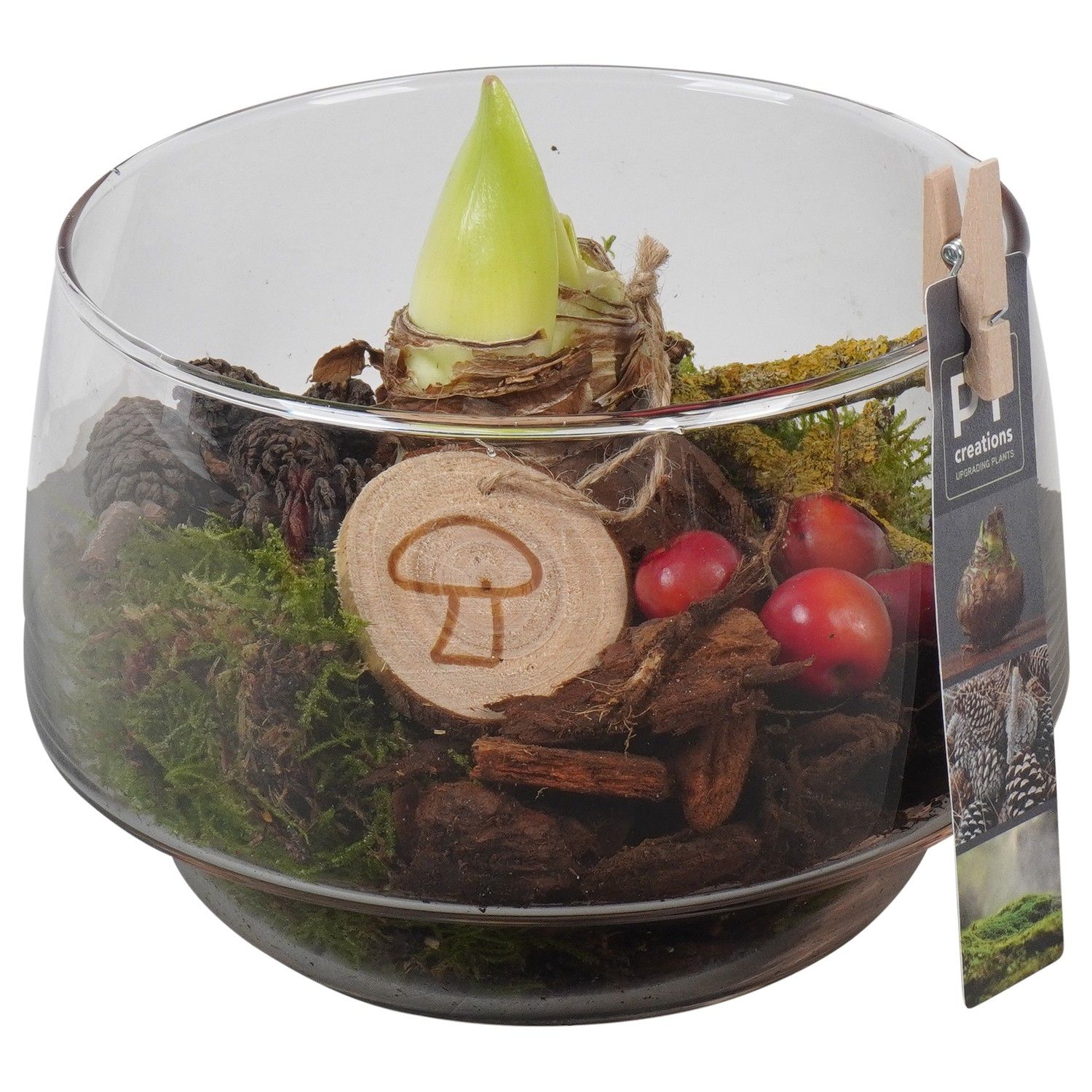 PTAA7574 Arrangement Amaryllis in glazen vaas, D 17 cm