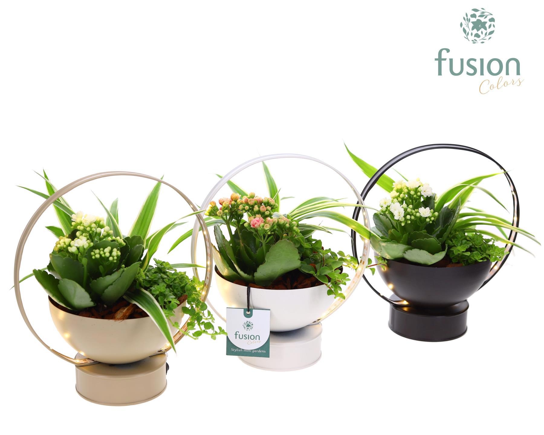 LED planter zink schaal met Arrangement, D 20