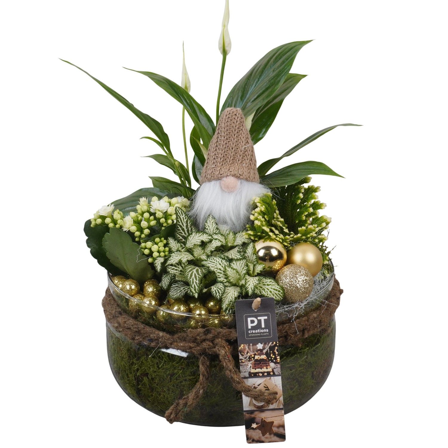 PTCHG5732 Arrangement Christmas Gold in glas schaal, D 19 cm