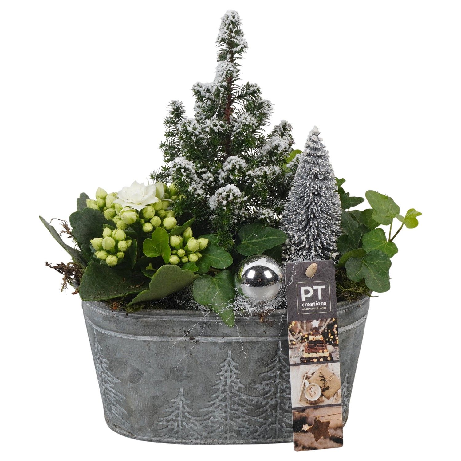 PTCHW4320 Arrangement Christmas White in metalen pot ovaal, D 18 cm