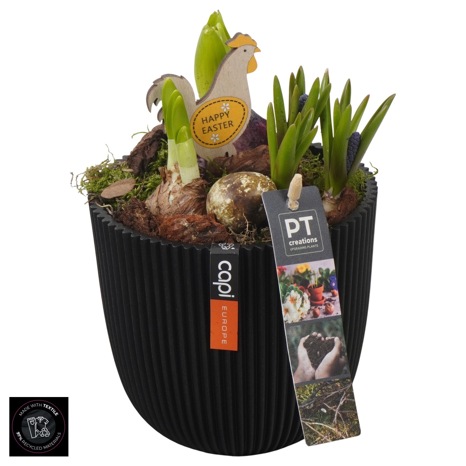 PTBMP5736 Arrangement Easter Bulbs Mix in capi pot, D 13