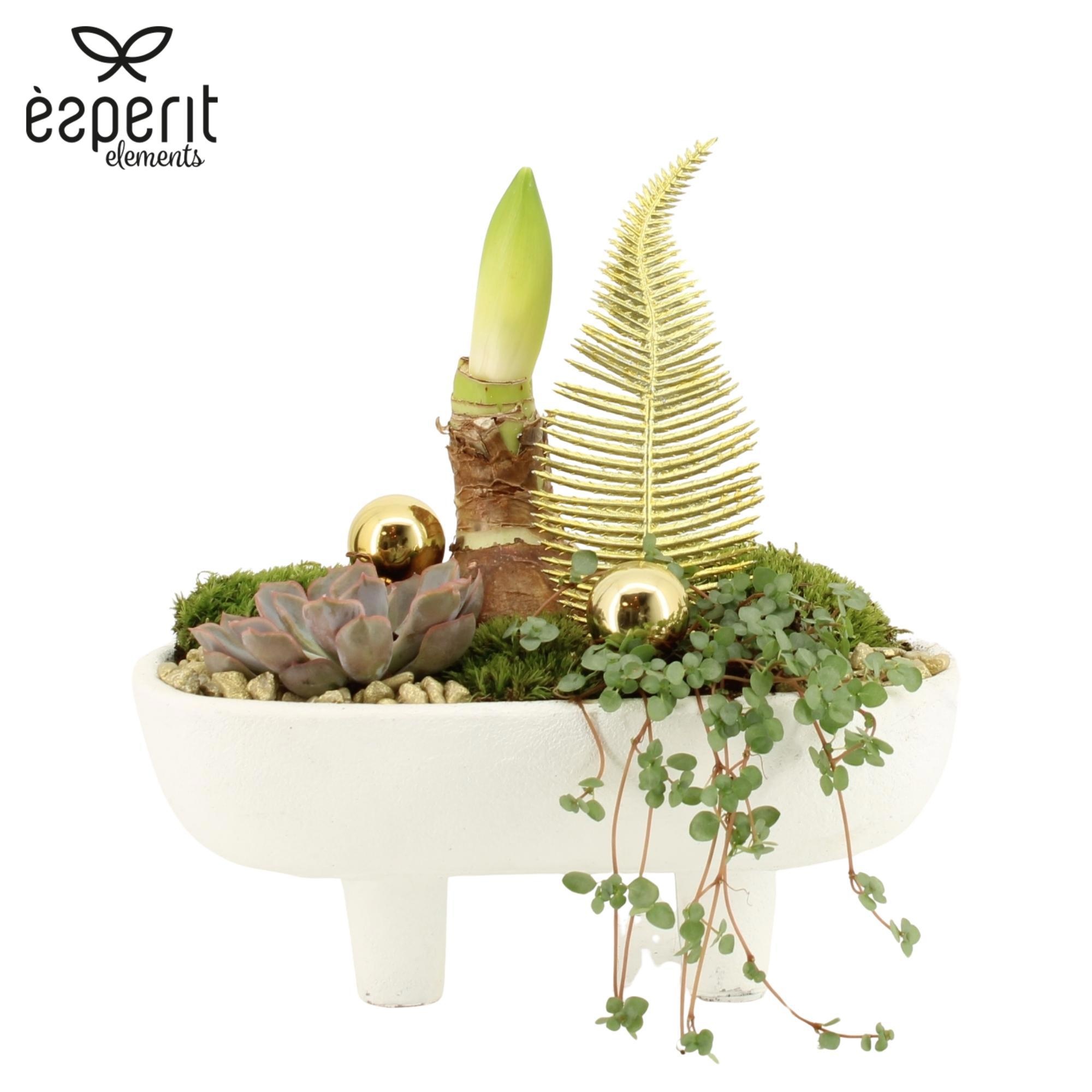 62180: X-mas arrangement, D 16