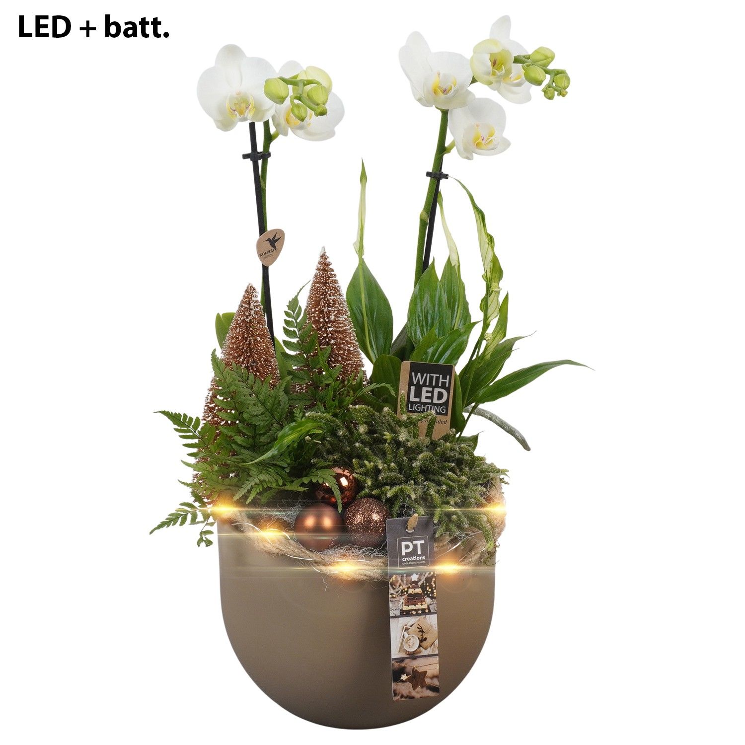 PTCHB9739 Arrangement Christmas Bronze in keramiek pot, D 19 cm