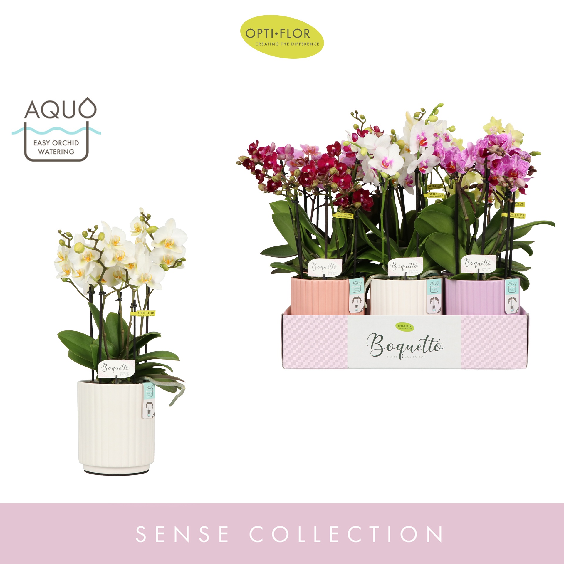 Boquetto Mix 3-5 spike in Molise Mix Aquo, D 12 cm