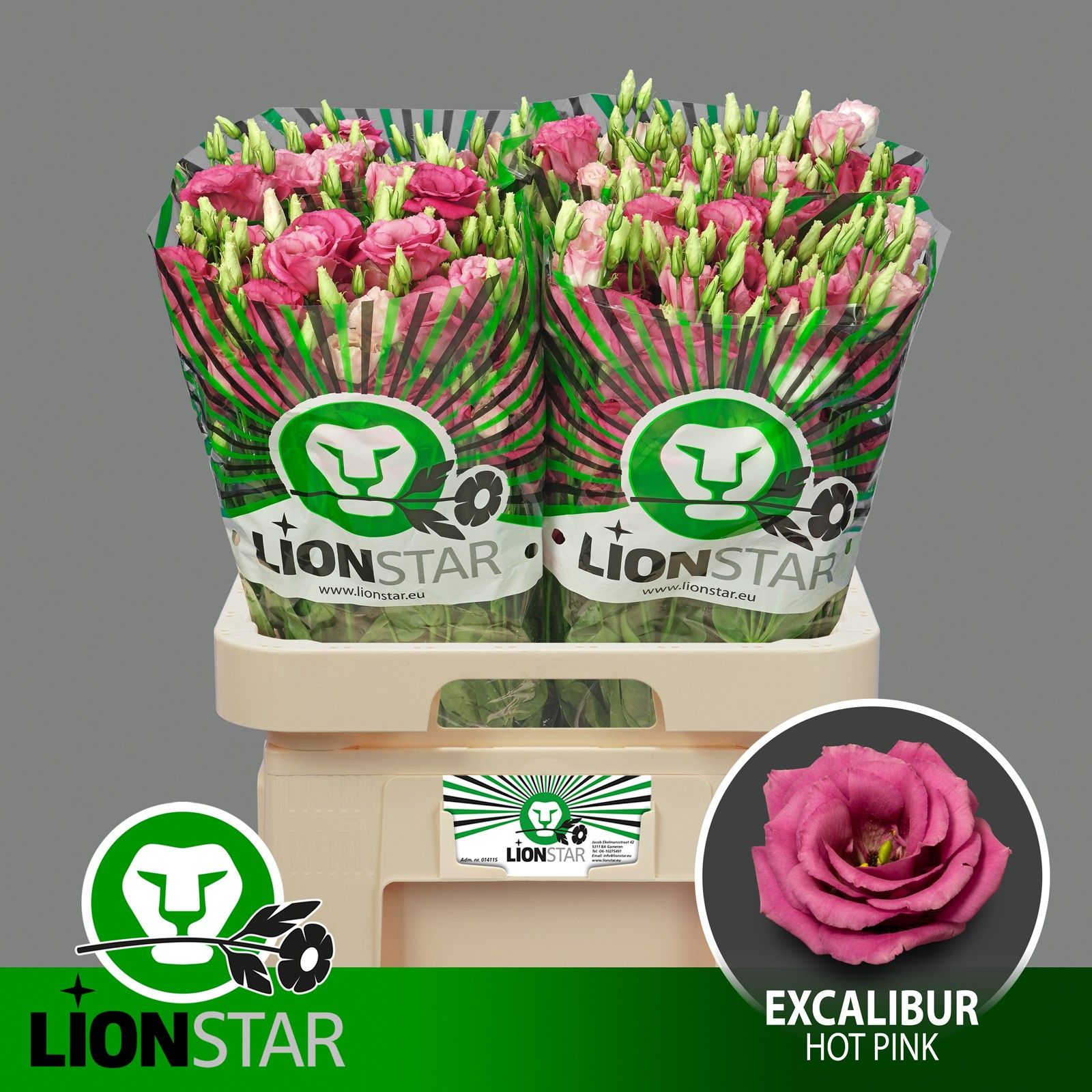Эустома Экскалибур Хот Пинк 70, шт.