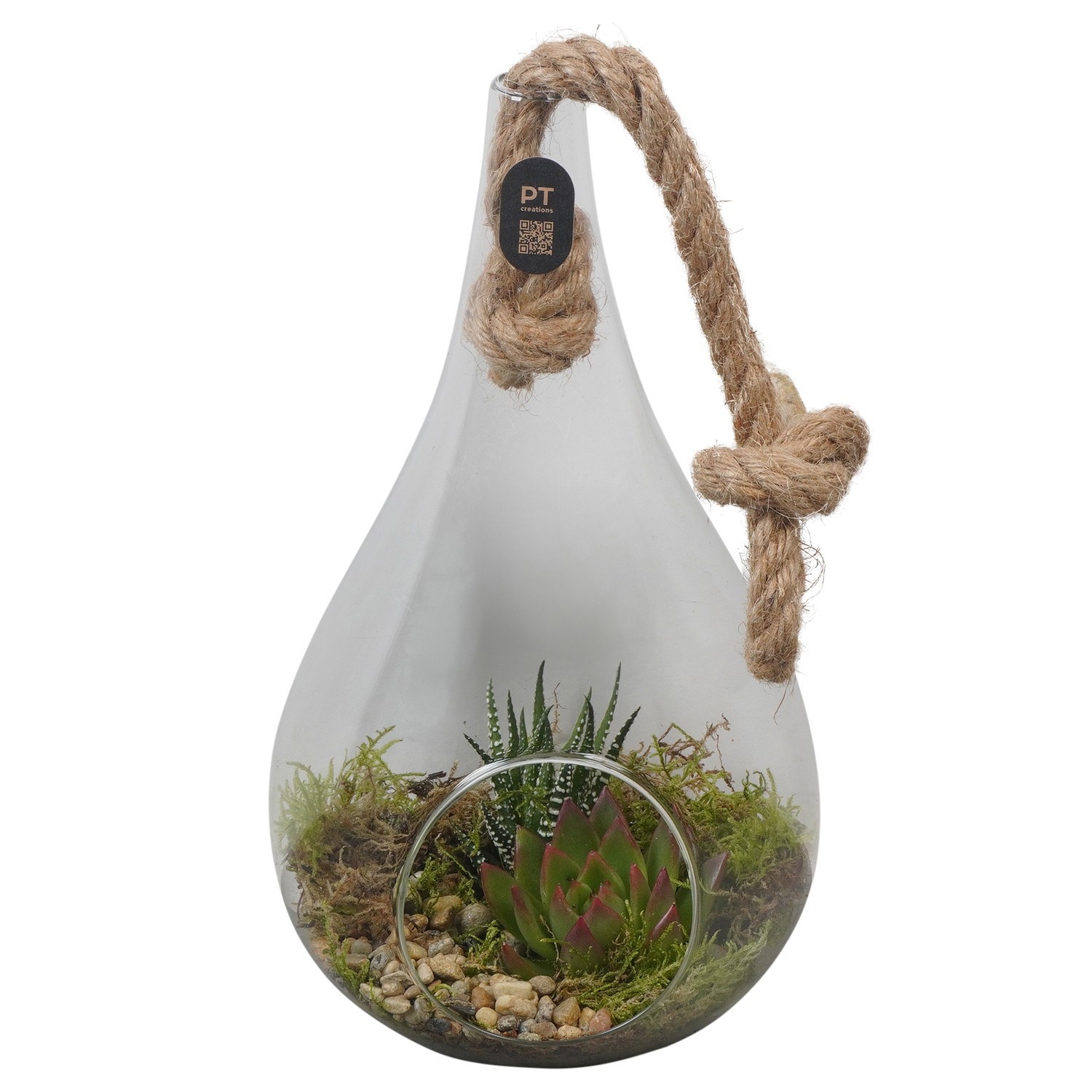 PTIG2702 Arrangement Indoor in glazen vaasje, D 15