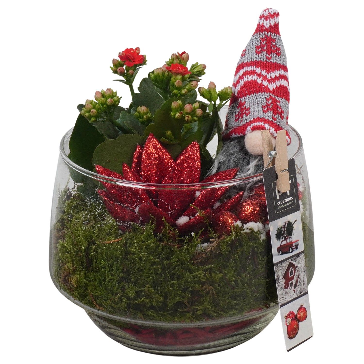 PTCHR7452 Arrangement Christmas Red in glazen pot, D 17 cm