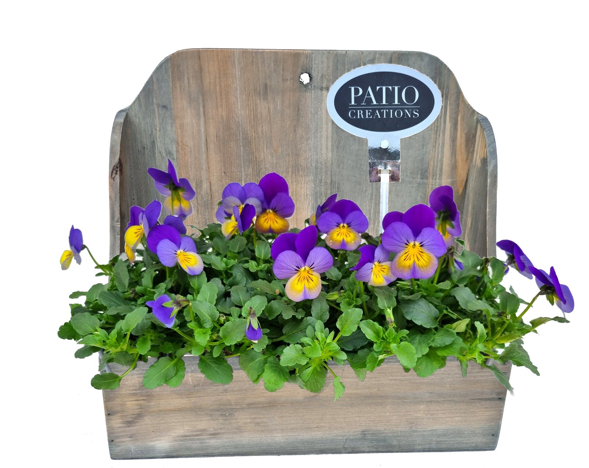 V792-9003 Viola wandhanger Bo M, D 29 cm V792-9003 Viola wandhanger Bo M, D 29 cm