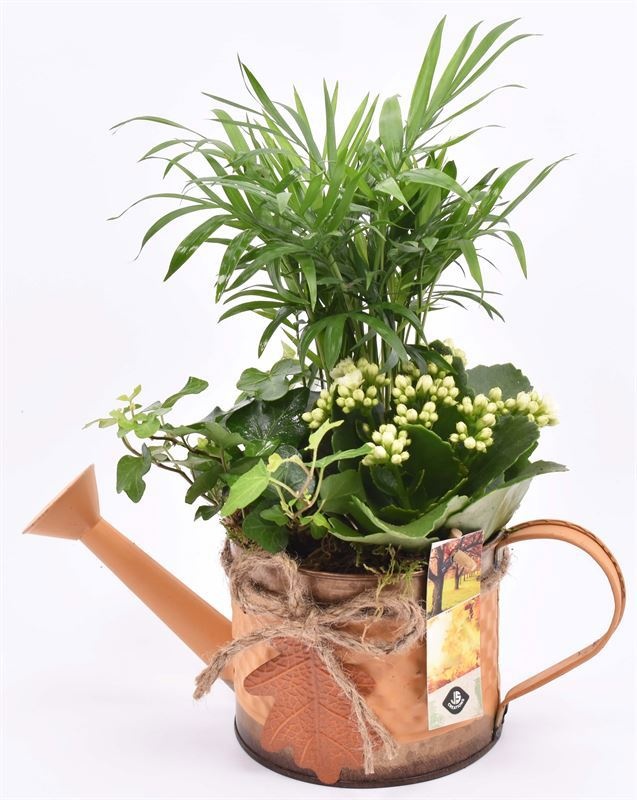 Zink gieter met herfst blad 12cm, D 26