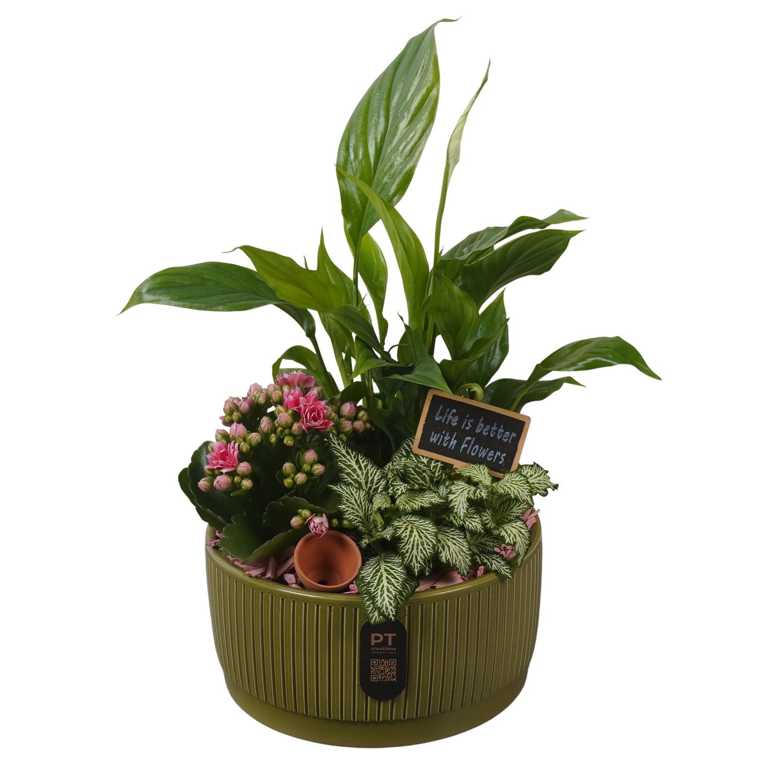 PTIB5126 Arrangement Indoor in keramiek schaal, D 19