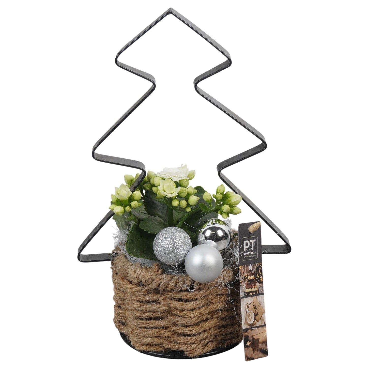 PTCHW4328 Arrangement Christmas White in touwmand met metaal, D 11 cm