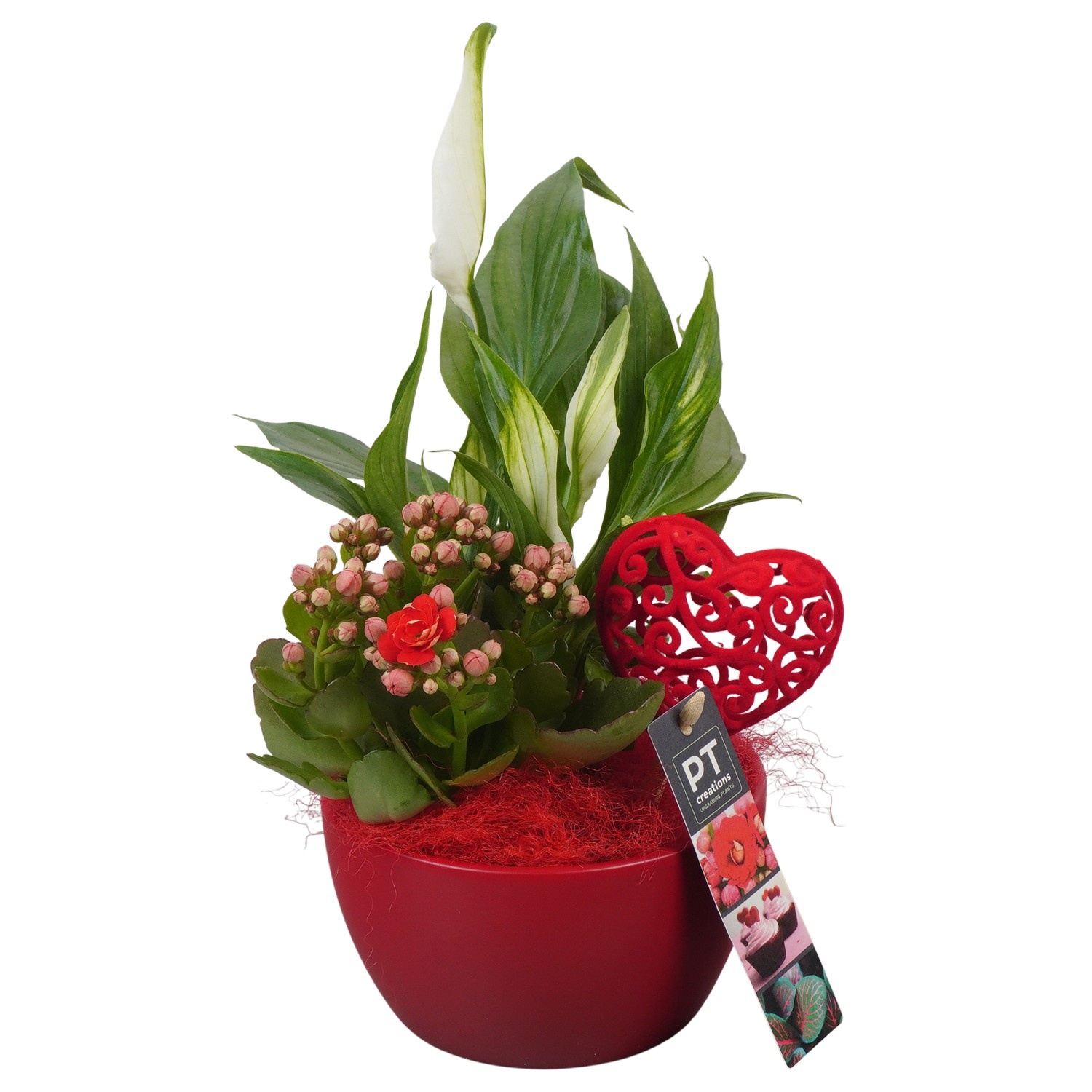 PTVMB2202 Arrangement Valentines-Mothersday in Keramiek schaal, D 14