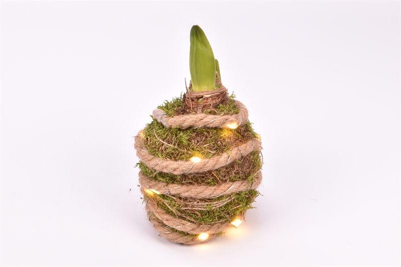 Touw en mos, D 14 cm