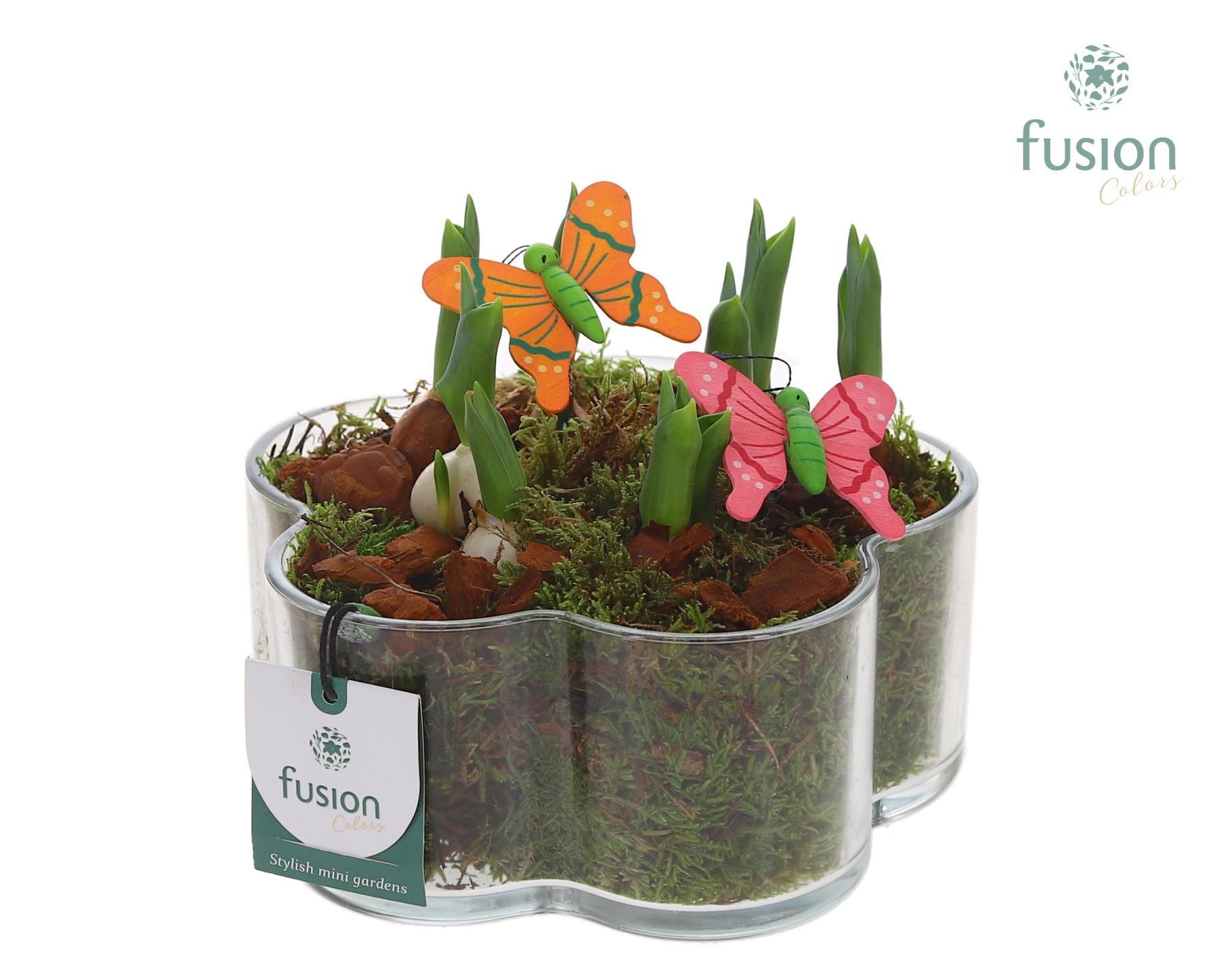 Glazen Bloemschaalmet Tulipa, D 18